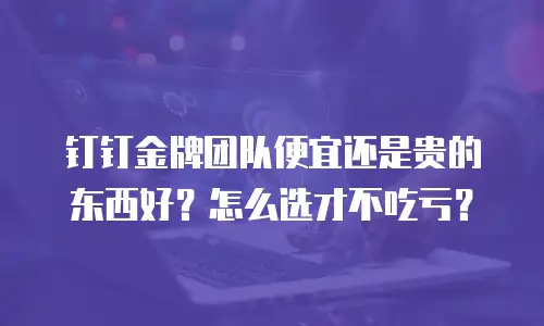 钉钉金牌团队便宜还是贵的东西好？怎么选才不吃亏？