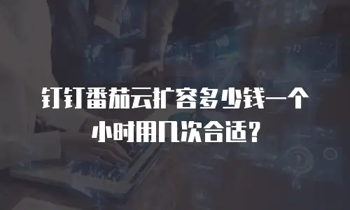 钉钉番茄云扩容多少钱一个小时用几次合适？
