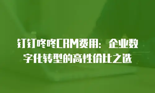 钉钉咚咚CRM费用：企业数字化转型的高性价比之选