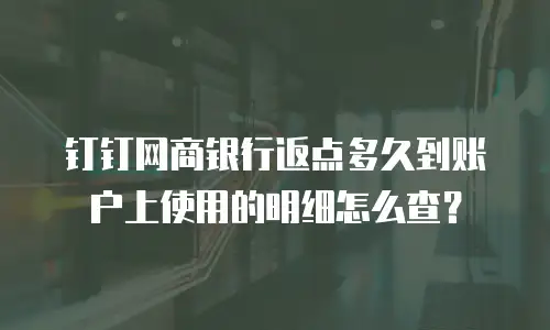 钉钉网商银行返点多久到账户上使用的明细怎么查？
