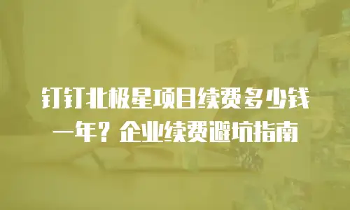 钉钉北极星项目续费多少钱一年？企业续费避坑指南