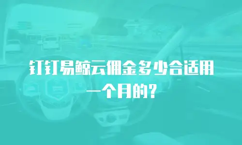 钉钉易鲸云佣金多少合适用一个月的？