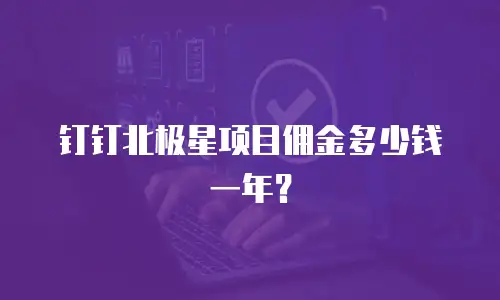 钉钉北极星项目佣金多少钱一年？