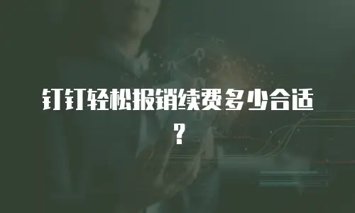 钉钉轻松报销续费多少合适？