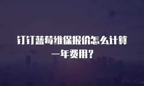 钉钉蓝莓维保报价怎么计算一年费用？