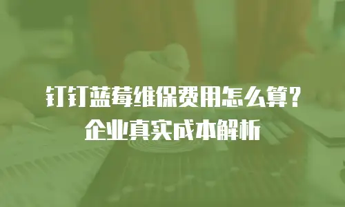 钉钉蓝莓维保费用怎么算？企业真实成本解析