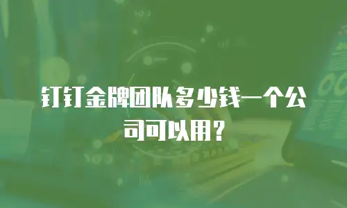 钉钉金牌团队多少钱一个公司可以用？