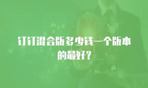 钉钉混合版多少钱一个版本的最好？