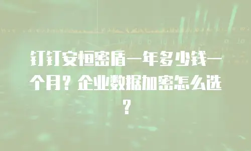 钉钉安恒密盾一年多少钱一个月？企业数据加密怎么选？