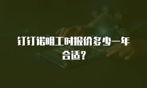 钉钉诺明工时报价多少一年合适？