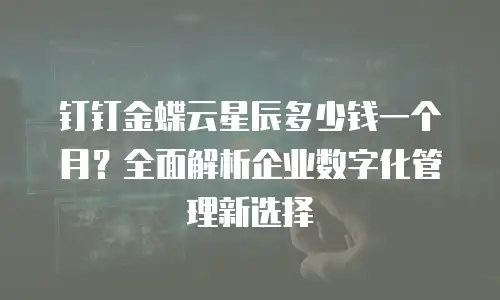 钉钉金蝶云星辰多少钱一个月？全面解析企业数字化管理新选择