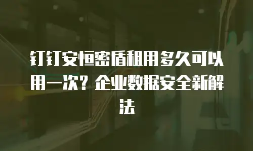 钉钉安恒密盾租用多久可以用一次？企业数据安全新解法