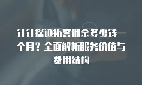 钉钉探迹拓客佣金多少钱一个月？全面解析服务价值与费用结构
