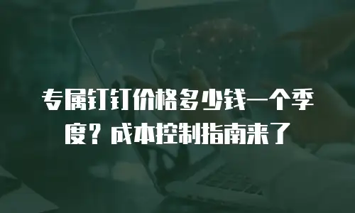 专属钉钉价格多少钱一个季度？成本控制指南来了