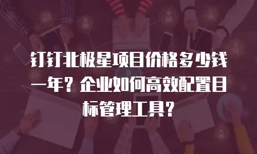 钉钉北极星项目价格多少钱一年？企业如何高效配置目标管理工具？