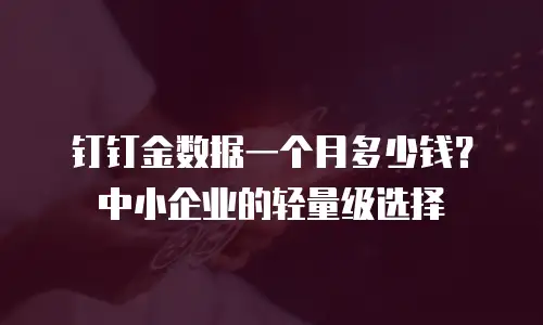 钉钉金数据一个月多少钱？中小企业的轻量级选择