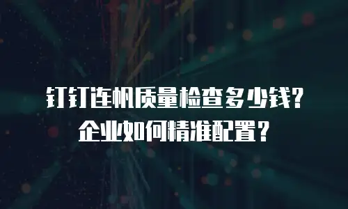 钉钉连帆质量检查多少钱？企业如何精准配置？