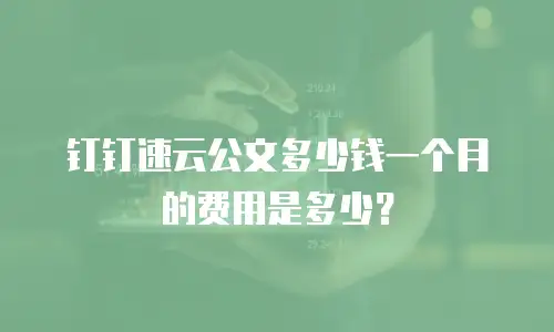 钉钉速云公文多少钱一个月的费用是多少？