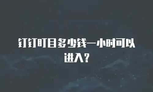 钉钉盯目多少钱一小时可以进入？