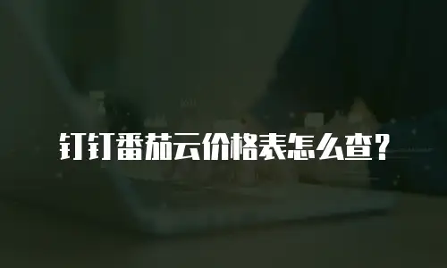 钉钉番茄云价格表怎么查？