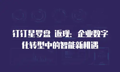 钉钉星罗盘 返现：企业数字化转型中的智能新机遇