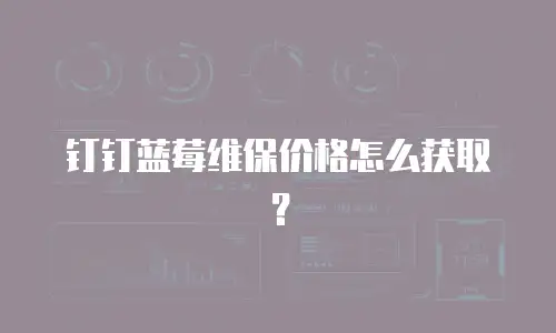 钉钉蓝莓维保价格怎么获取？