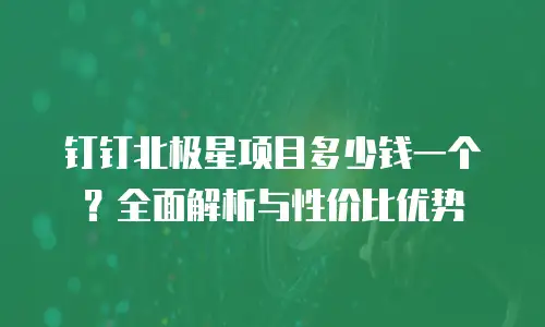 钉钉北极星项目多少钱一个？全面解析与性价比优势