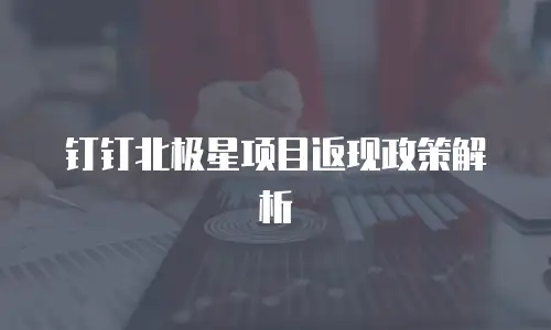 钉钉北极星项目返现政策解析