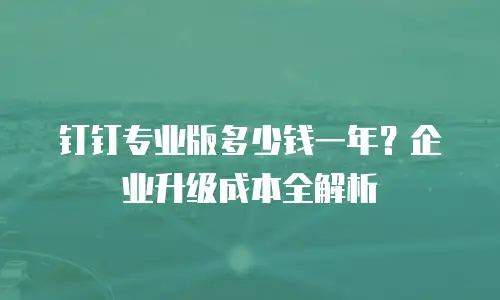 钉钉专业版多少钱一年？企业升级成本全解析