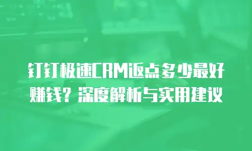 钉钉极速CRM返点多少最好赚钱？深度解析与实用建议