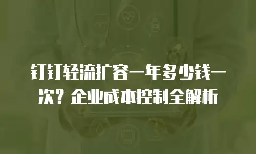 钉钉轻流扩容一年多少钱一次？企业成本控制全解析