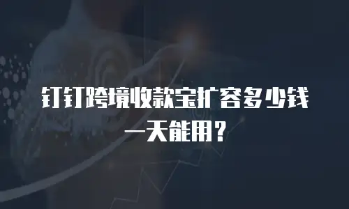 钉钉跨境收款宝扩容多少钱一天能用？