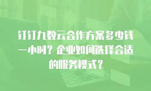 钉钉九数云合作方案多少钱一小时？企业如何选择合适的服务模式？