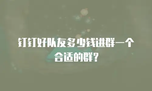 钉钉好队友多少钱进群一个合适的群？