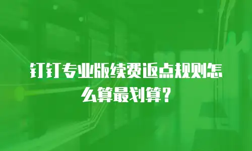 钉钉专业版续费返点规则怎么算最划算？