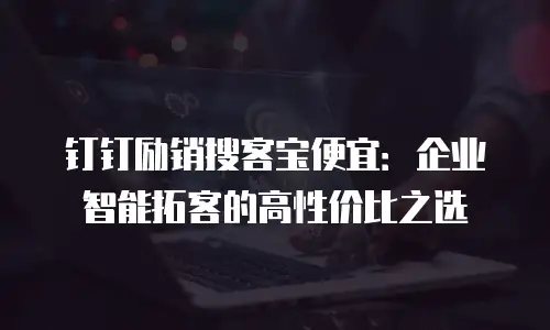 钉钉励销搜客宝便宜：企业智能拓客的高性价比之选