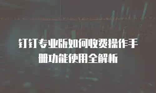 钉钉专业版如何收费操作手册功能使用全解析