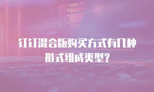 钉钉混合版购买方式有几种形式组成类型？