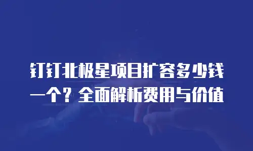 钉钉北极星项目扩容多少钱一个？全面解析费用与价值