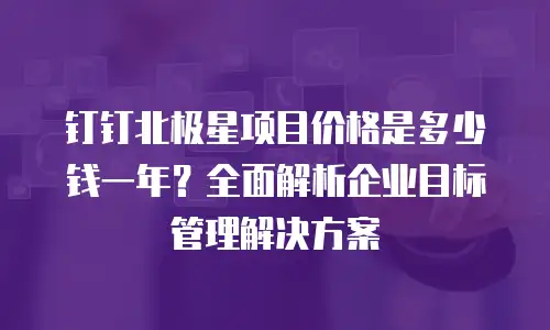 钉钉北极星项目价格是多少钱一年？全面解析企业目标管理解决方案