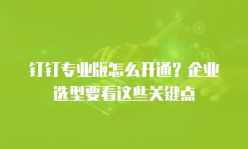 钉钉专业版怎么开通？企业选型要看这些关键点