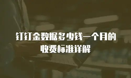 钉钉金数据多少钱一个月的收费标准详解