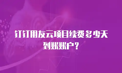 钉钉用友云项目续费多少天到账账户？