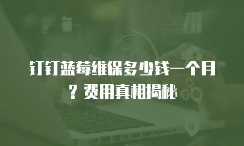 钉钉蓝莓维保多少钱一个月？费用真相揭秘