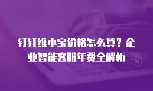 钉钉维小宝价格怎么算？企业智能客服年费全解析