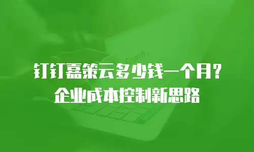 钉钉嘉策云多少钱一个月？企业成本控制新思路