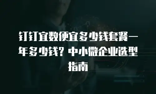钉钉宜数便宜多少钱套餐一年多少钱？中小微企业选型指南
