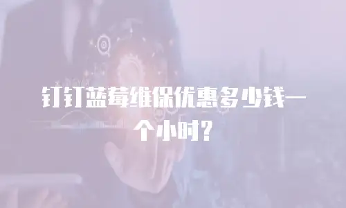 钉钉蓝莓维保优惠多少钱一个小时？