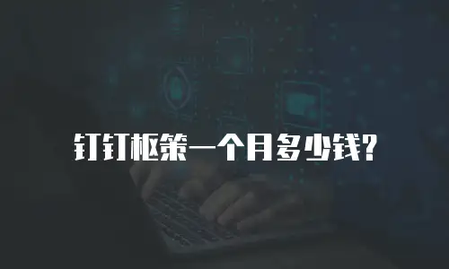 钉钉枢策一个月多少钱？