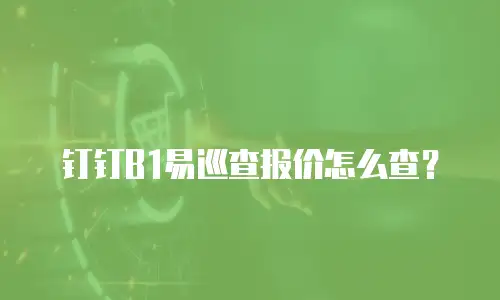 钉钉B1易巡查报价怎么查？